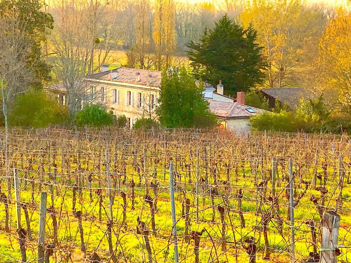 Fabuleux - Domaine Du Moulin D'Andraut Bordeaux-Chevaux-Golf-St Emilion Villa Montussan Exterior photo